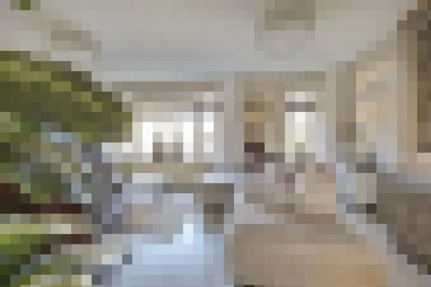 Het Wapenschild 36 Swifterbant thumbnail 4