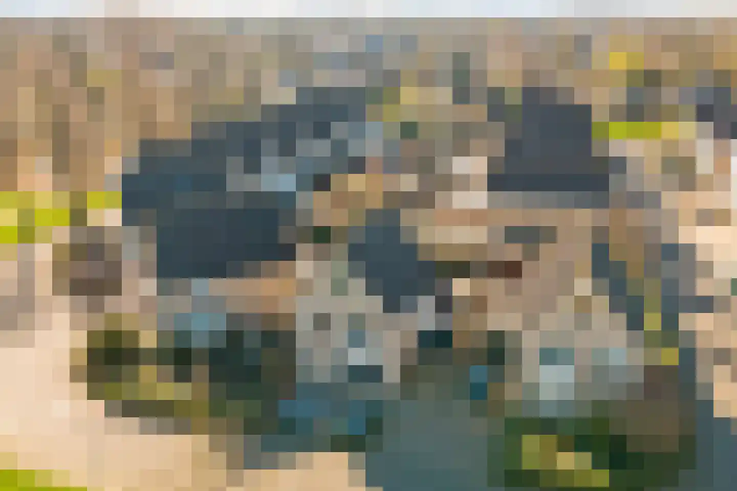 Het Wapenschild 36 Swifterbant thumbnail 40