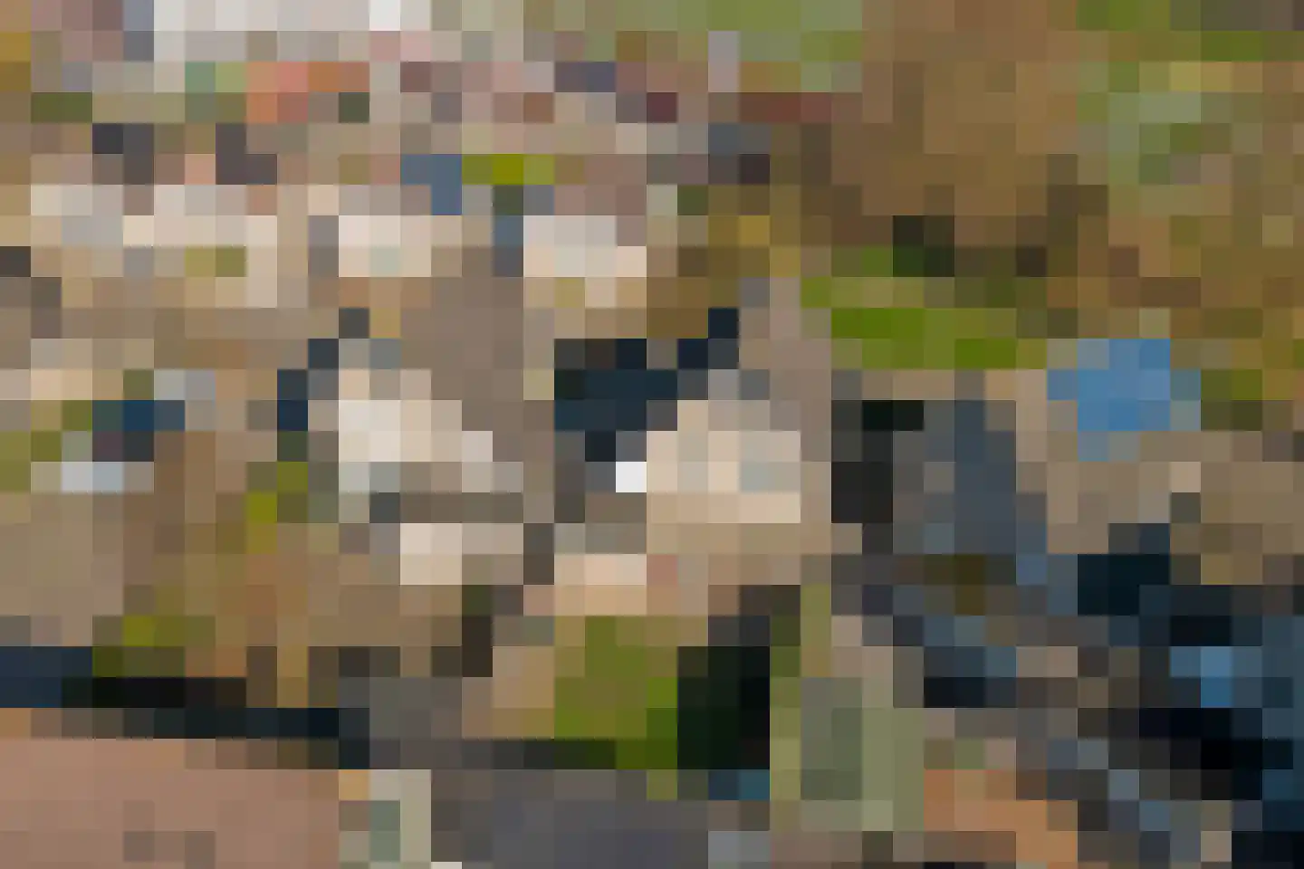 Het Wapenschild 36 Swifterbant thumbnail 43