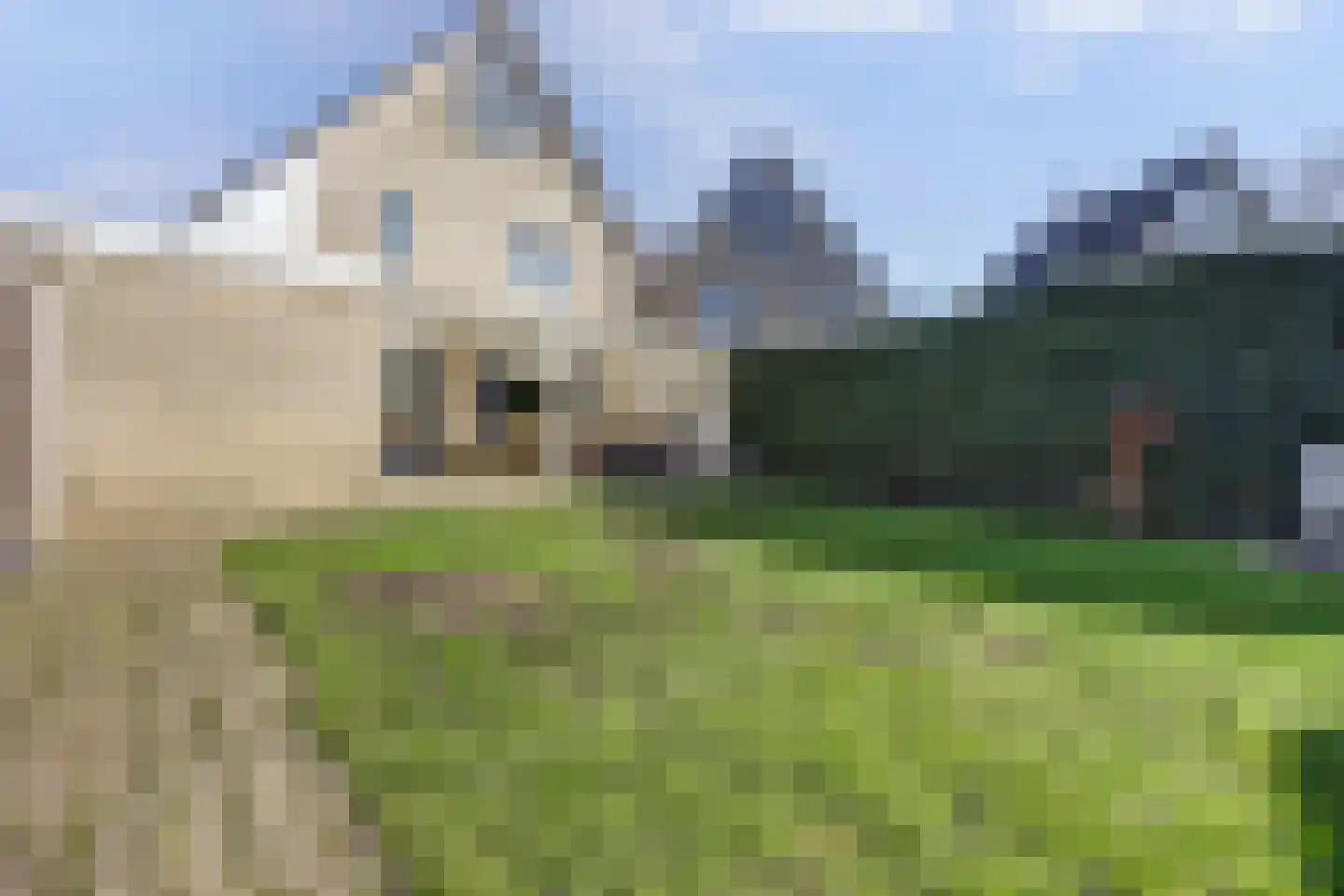 Het Wapenschild 36 Swifterbant thumbnail 44