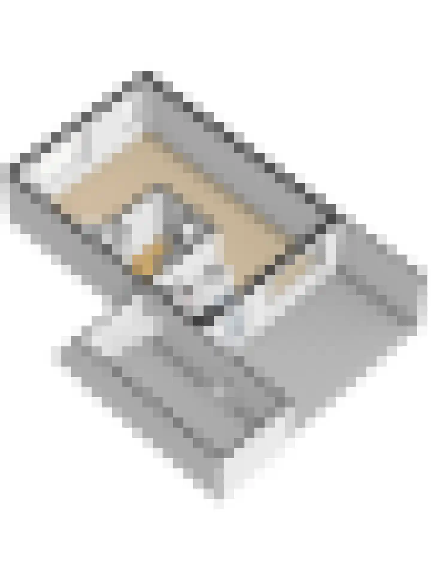 Het Wapenschild 36 Swifterbant thumbnail 57