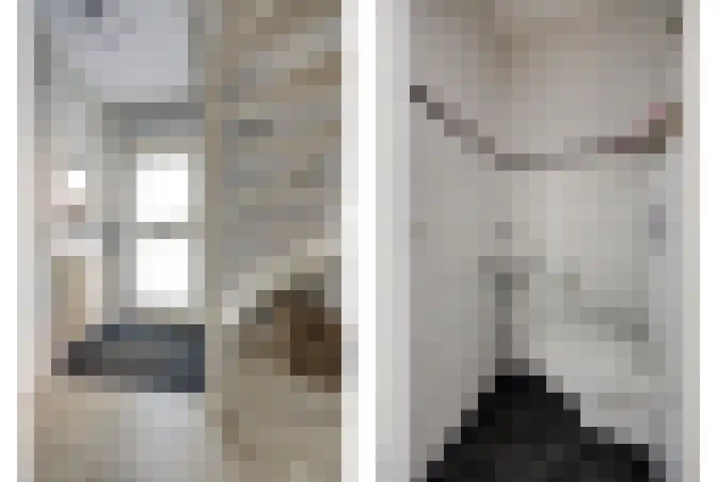 Het Wapenschild 36 Swifterbant thumbnail 6