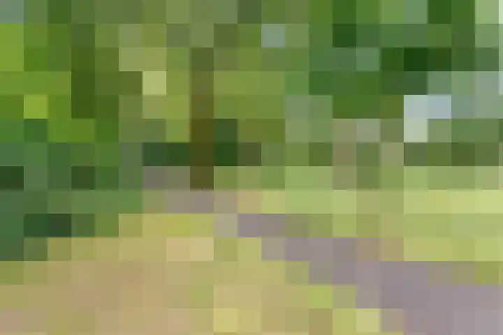 Het Wargaren 46 Lith thumbnail 20