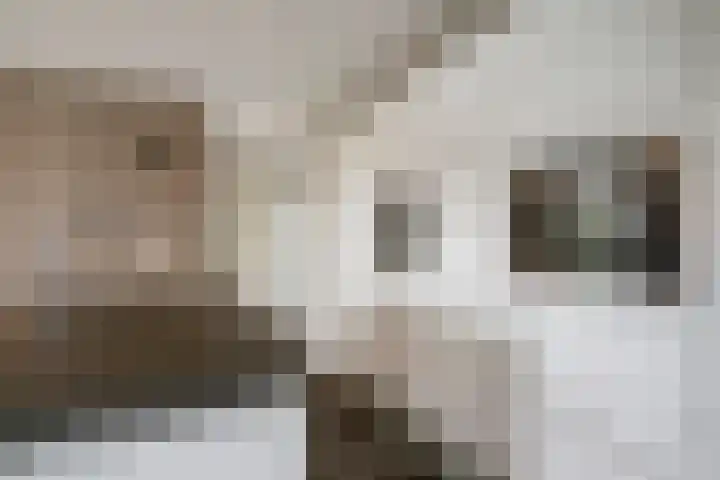 Het Wargaren 46 Lith thumbnail 23