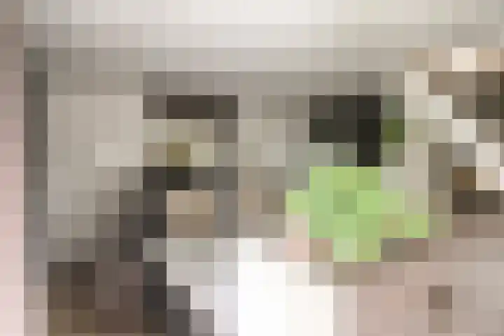 Het Wargaren 46 Lith thumbnail 26