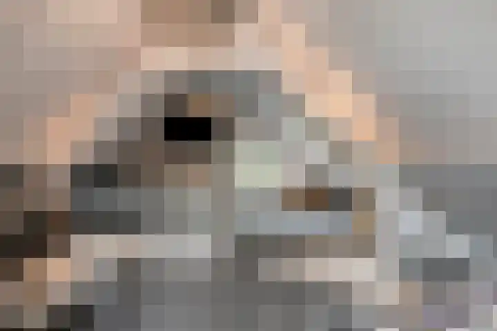 Het Wargaren 46 Lith thumbnail 30