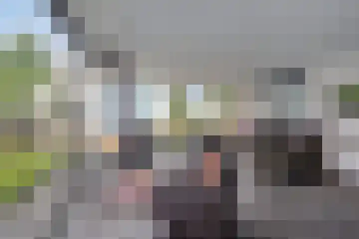 Het Wargaren 46 Lith thumbnail 47