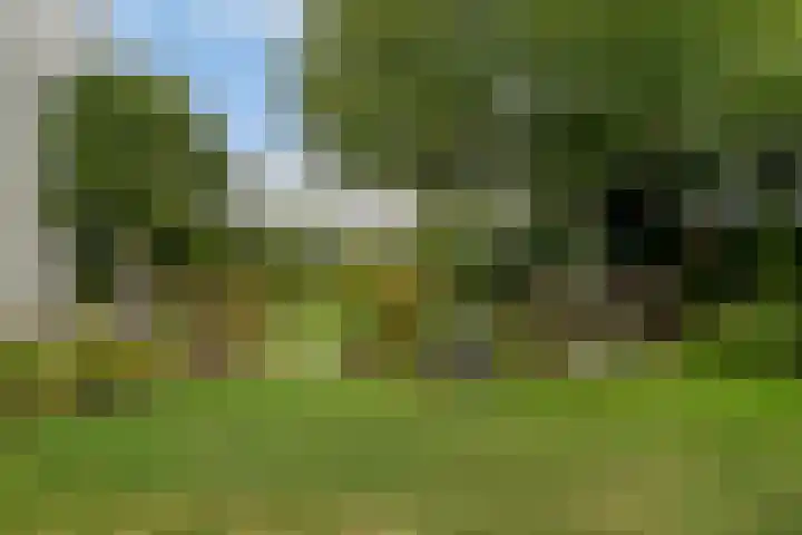 Het Wargaren 46 Lith thumbnail 55