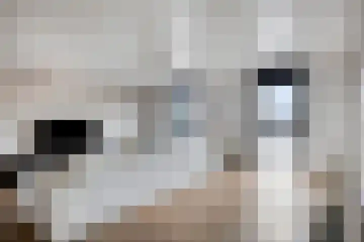 Het Wargaren 46 Lith thumbnail 76