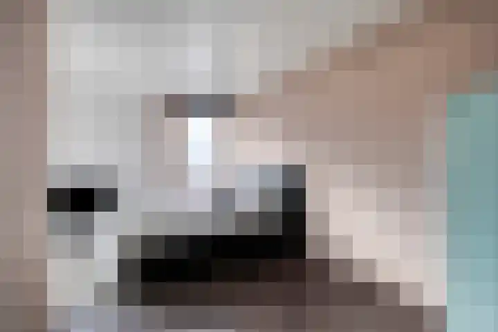 Het Wargaren 46 Lith thumbnail 79