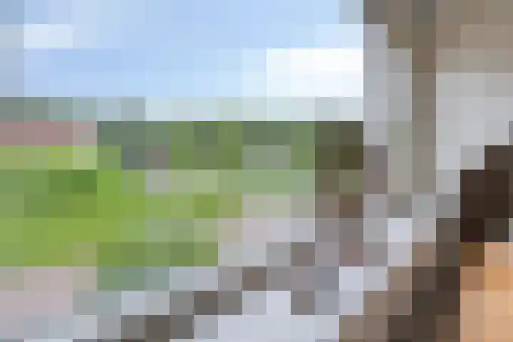 het Waterland 23 Emmeloord thumbnail 38