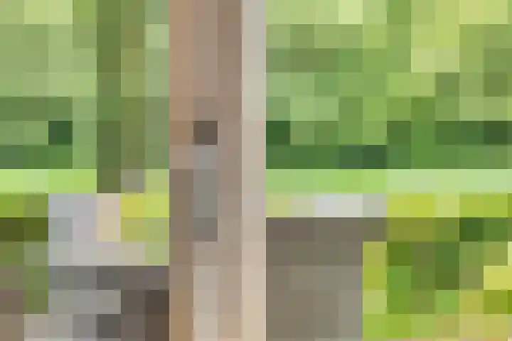 het Waterland 23 Emmeloord thumbnail 43