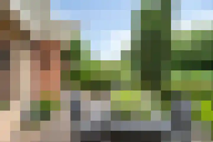het Waterland 23 Emmeloord thumbnail 44