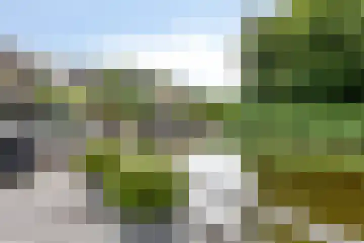 het Waterland 23 Emmeloord thumbnail 52