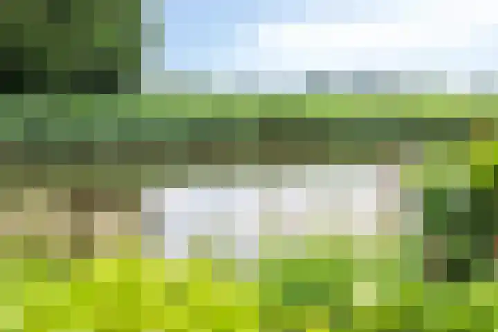 het Waterland 23 Emmeloord thumbnail 54