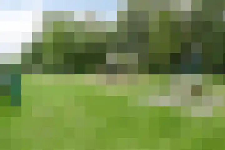 het Waterland 23 Emmeloord thumbnail 57
