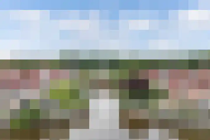 het Waterland 58 Emmeloord thumbnail 8