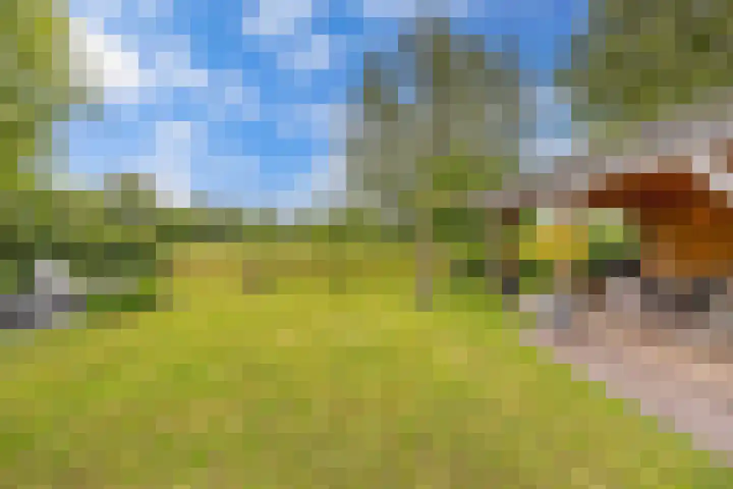 het Waterland 95 Emmeloord thumbnail 33