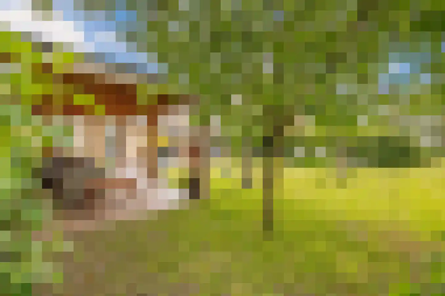 het Waterland 95 Emmeloord thumbnail 36
