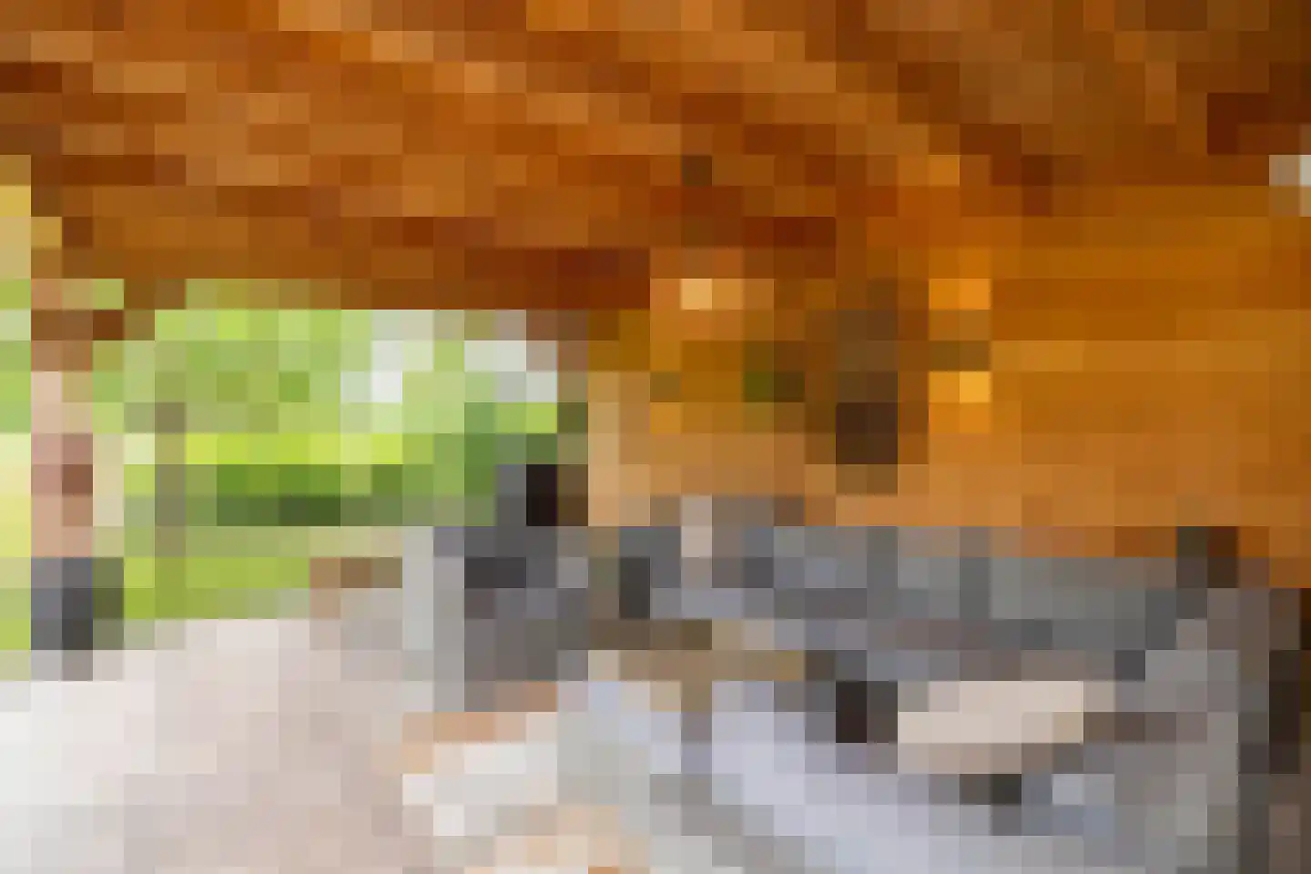 het Waterland 95 Emmeloord thumbnail 38