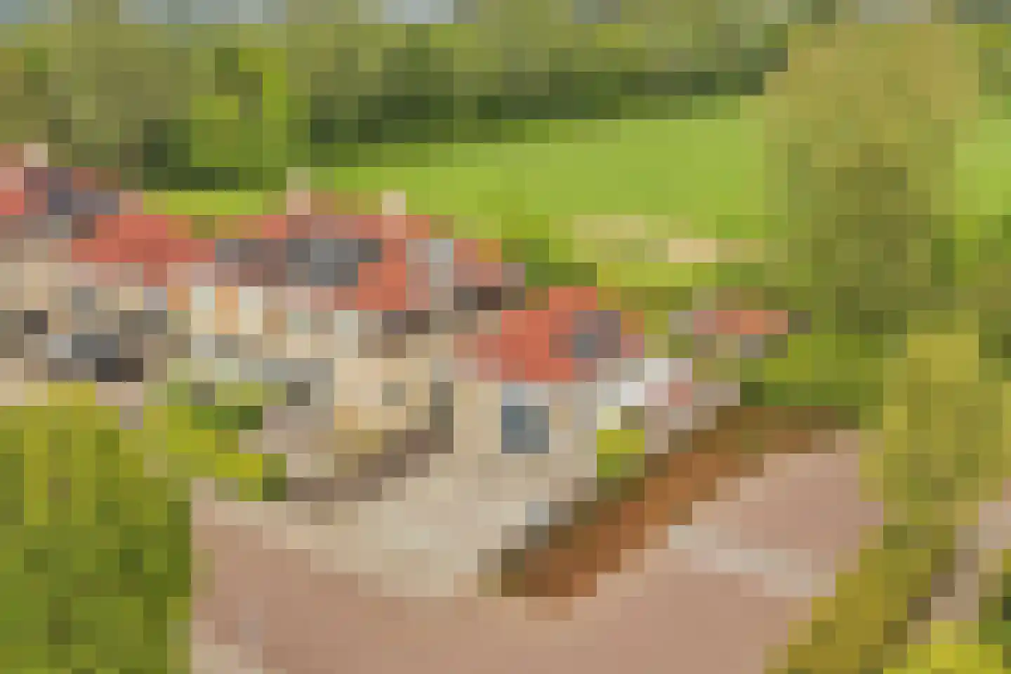 het Waterland 95 Emmeloord thumbnail 45
