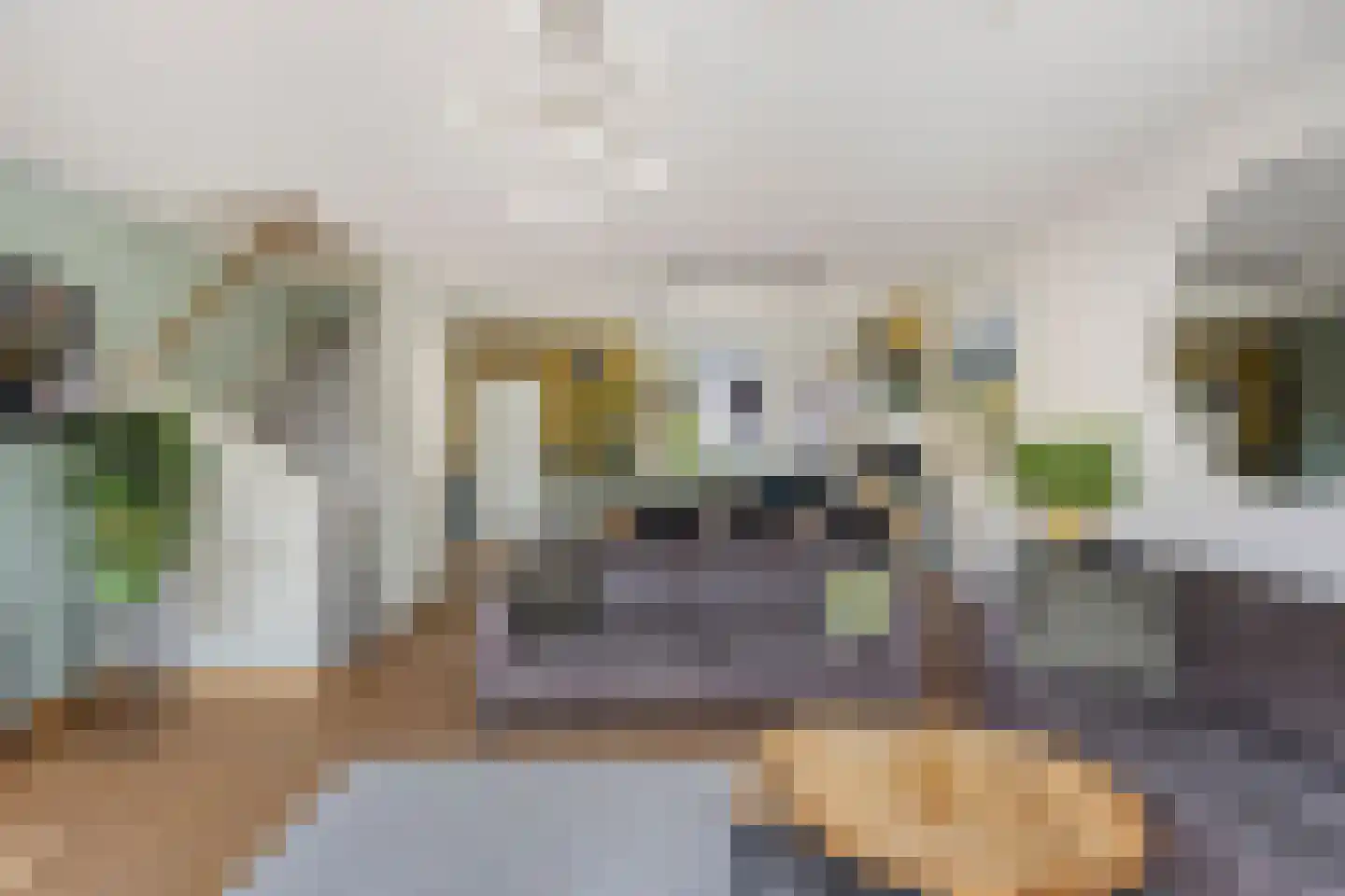 Het Wedde 26 Voorschoten thumbnail 12