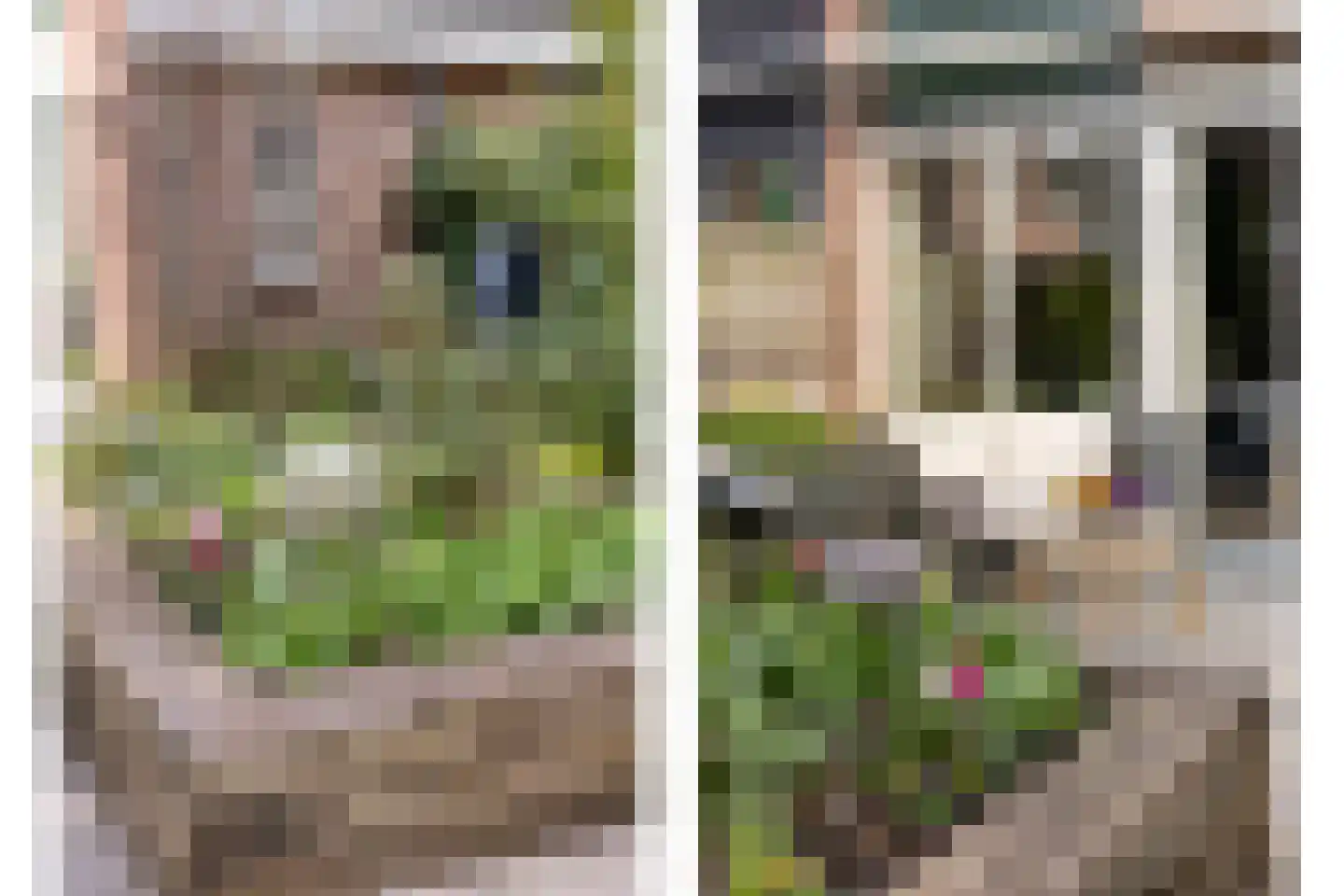 Het Wedde 26 Voorschoten thumbnail 30