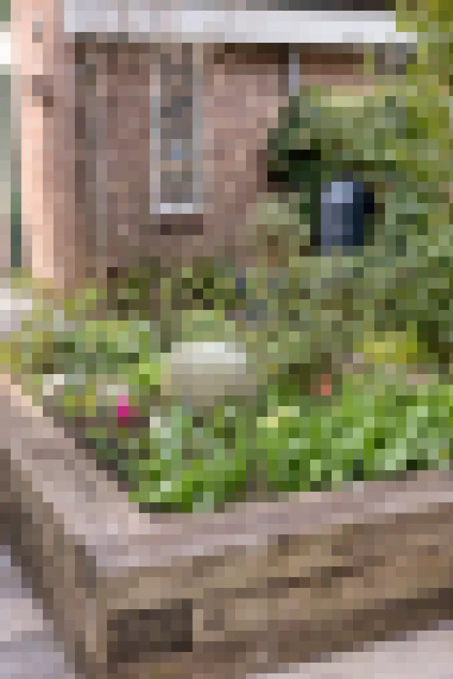 Het Wedde 26 Voorschoten thumbnail 54