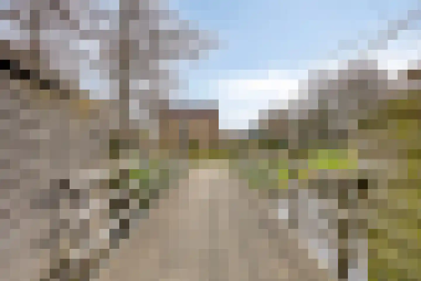 Het Wedde 26 Voorschoten thumbnail 57