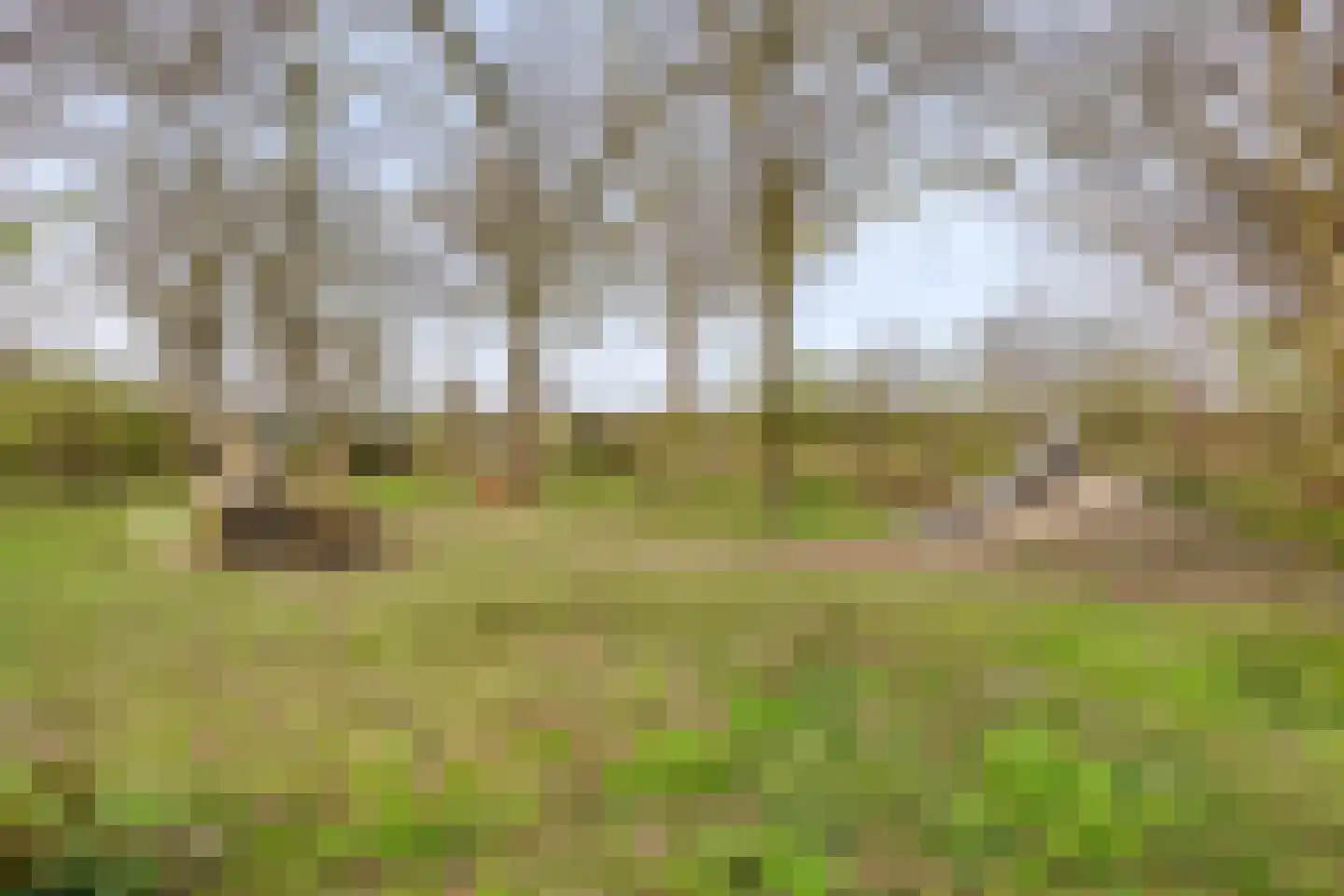 Het Wedde 26 Voorschoten thumbnail 58