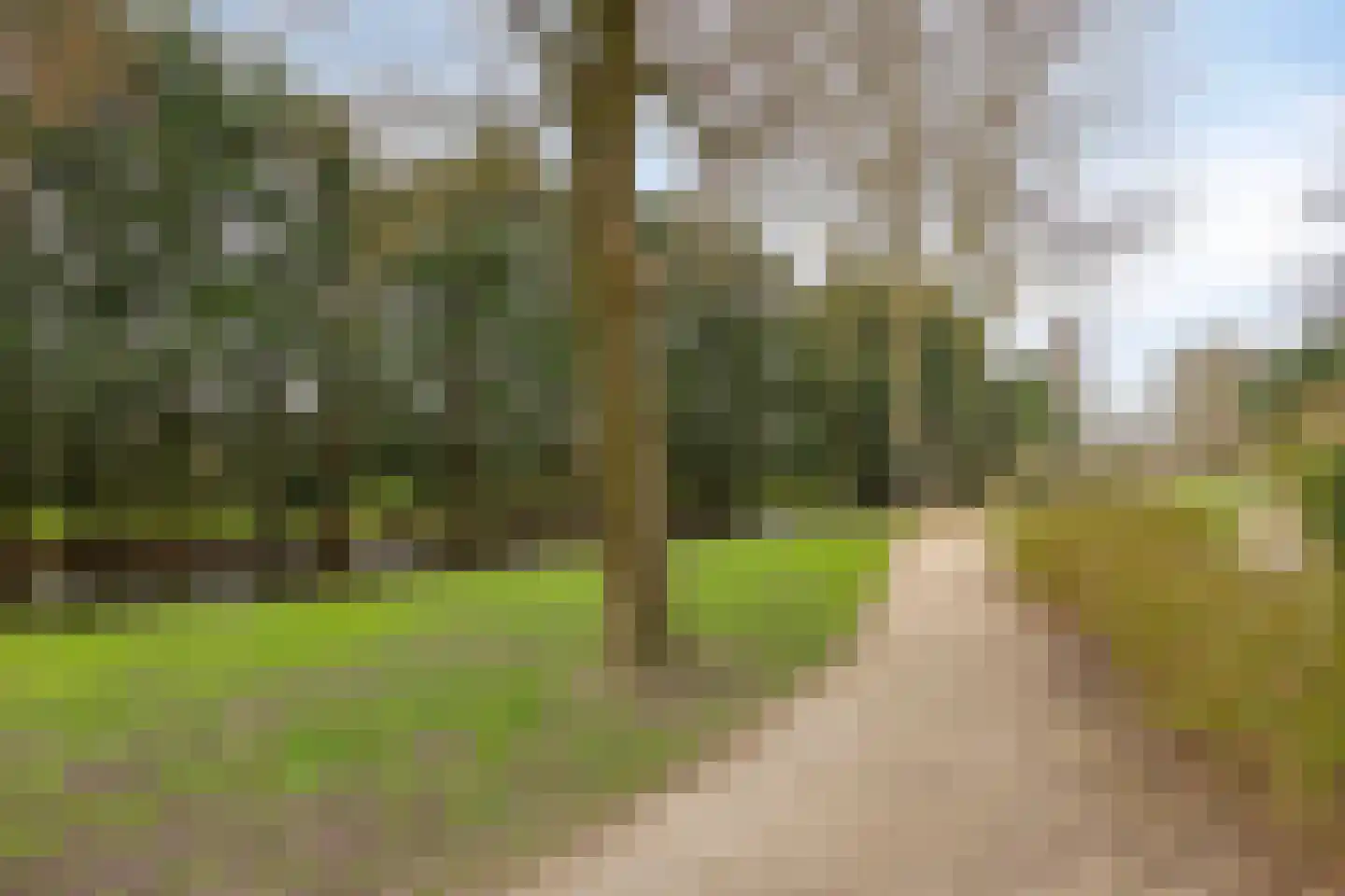 Het Wedde 26 Voorschoten thumbnail 60