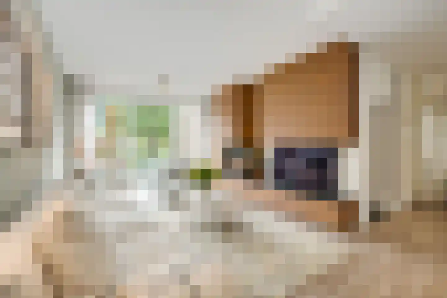 Het Wedde 51 Voorschoten thumbnail 14