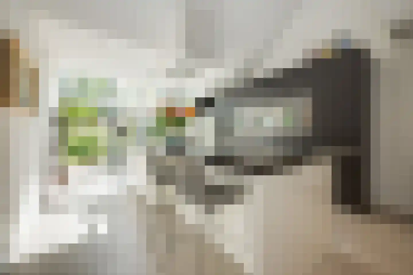 Het Wedde 51 Voorschoten thumbnail 23