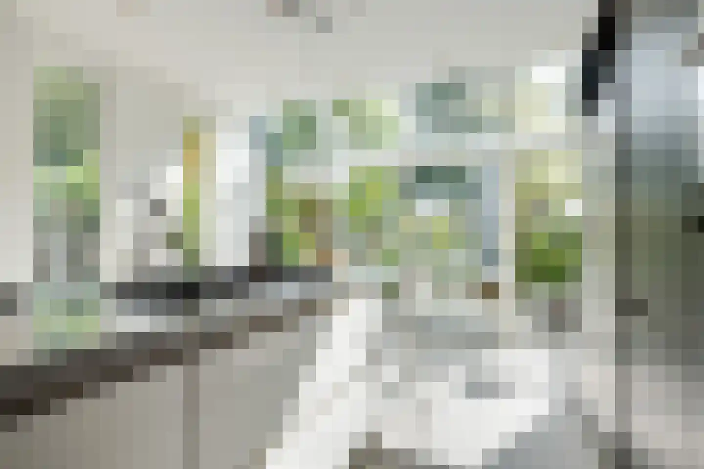 Het Wedde 51 Voorschoten thumbnail 25