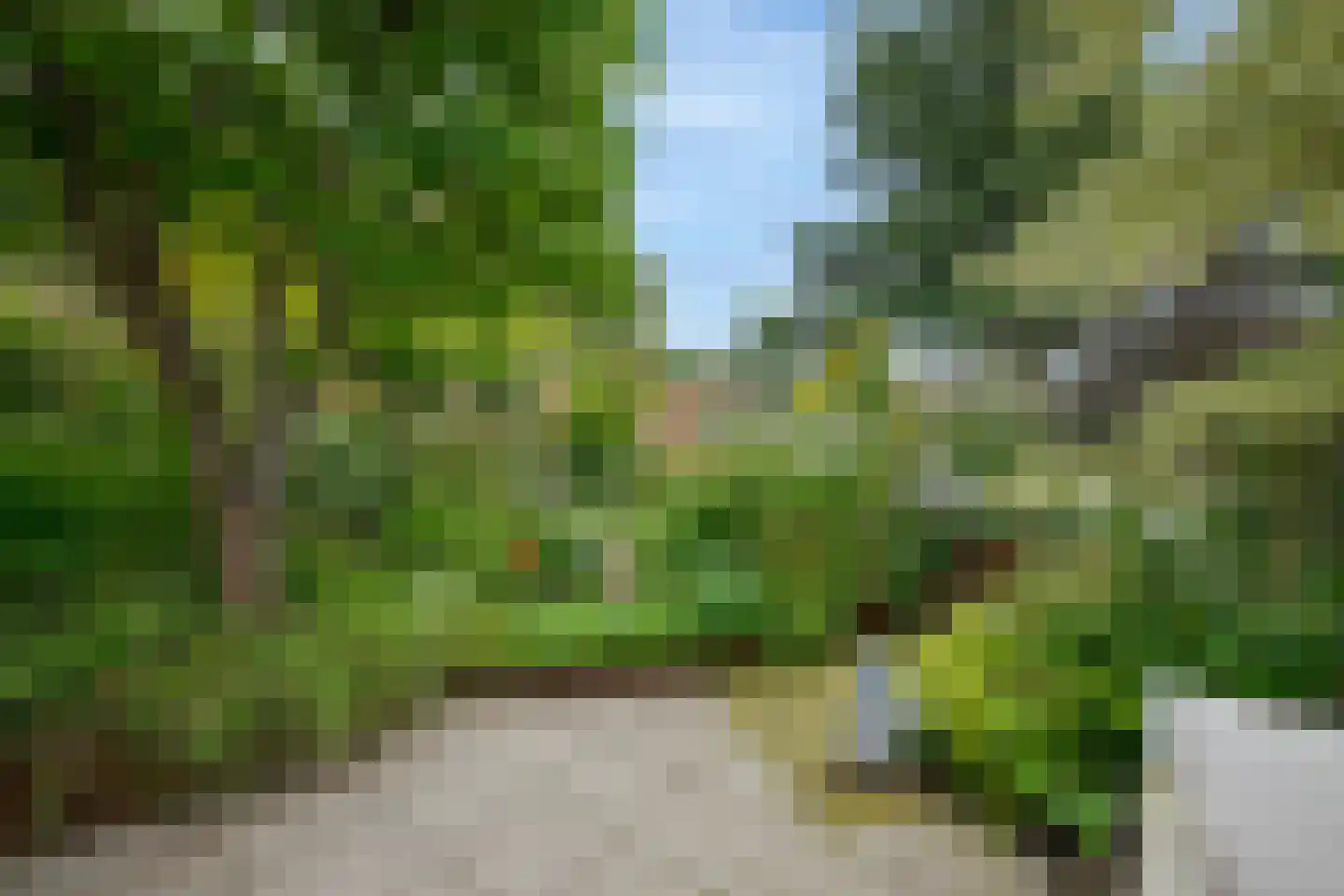 Het Wedde 51 Voorschoten thumbnail 27