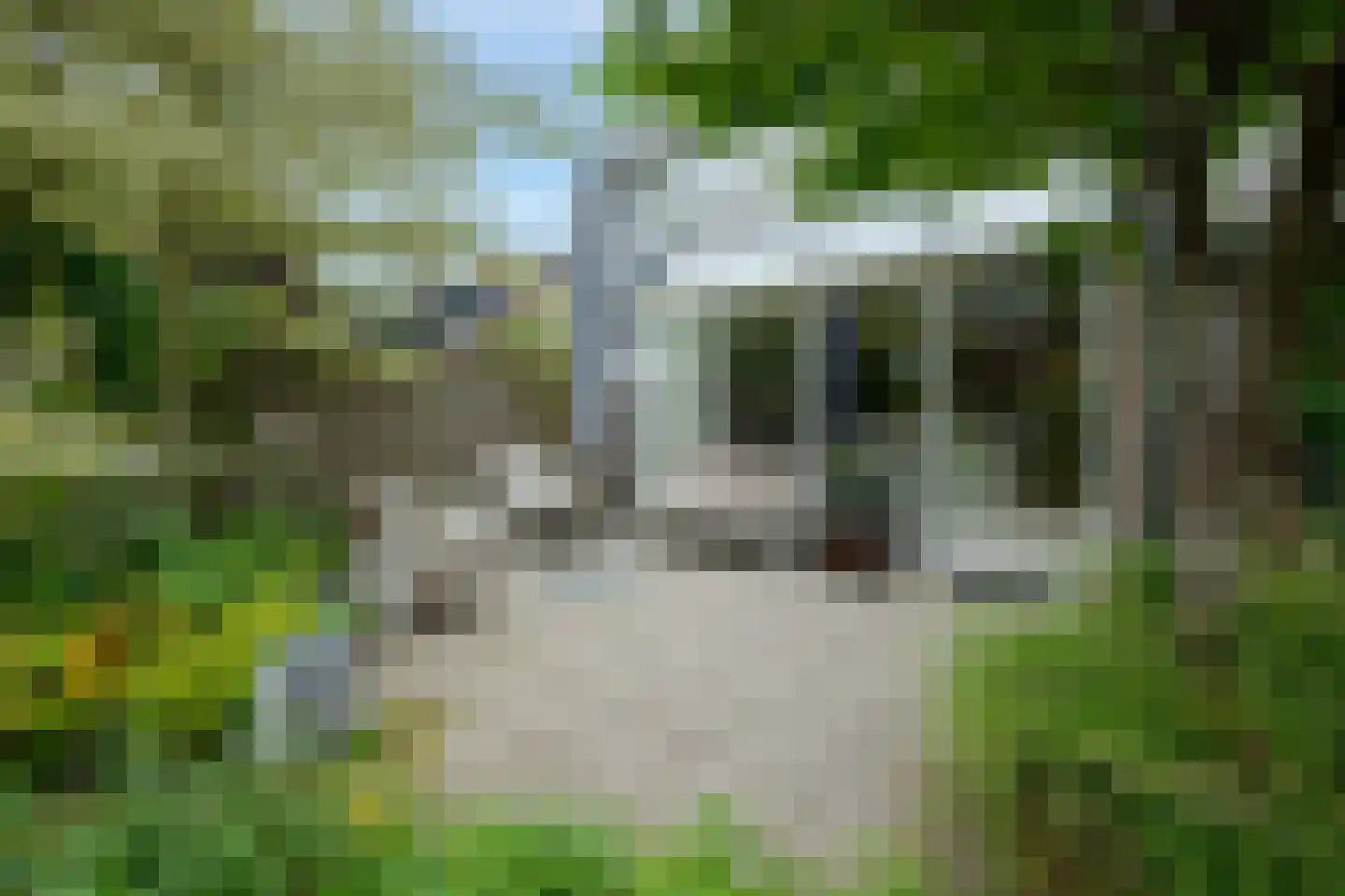 Het Wedde 51 Voorschoten thumbnail 28