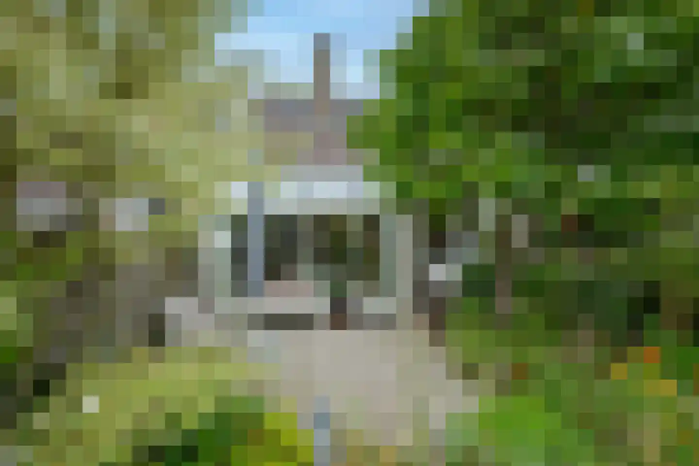 Het Wedde 51 Voorschoten thumbnail 29