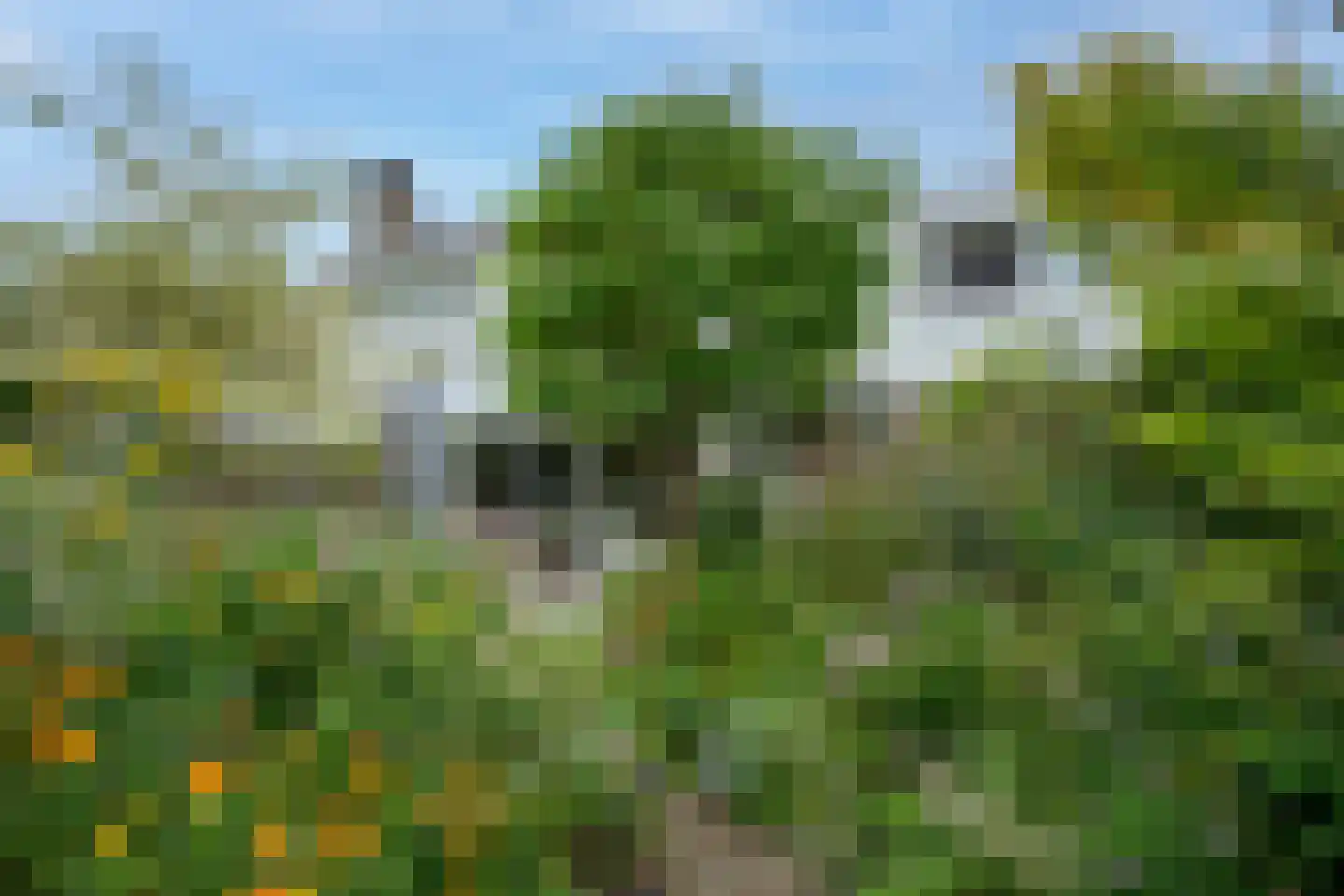 Het Wedde 51 Voorschoten thumbnail 33