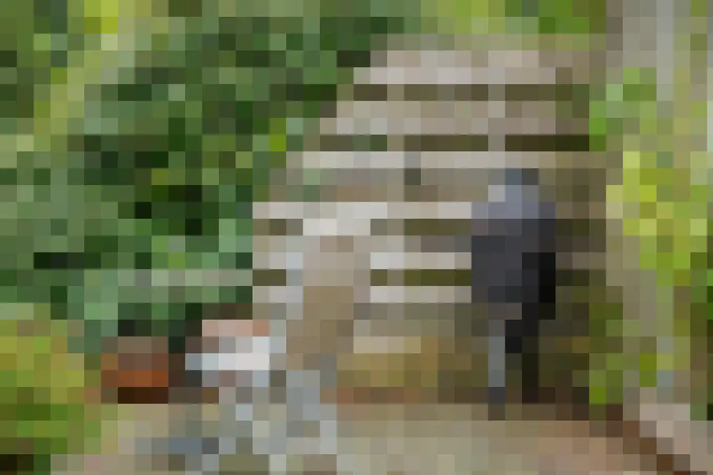 Het Wedde 51 Voorschoten thumbnail 37