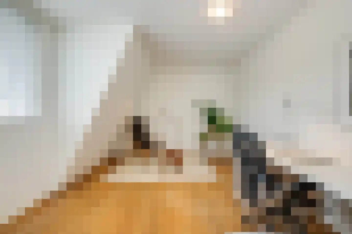Het Wedde 51 Voorschoten thumbnail 48