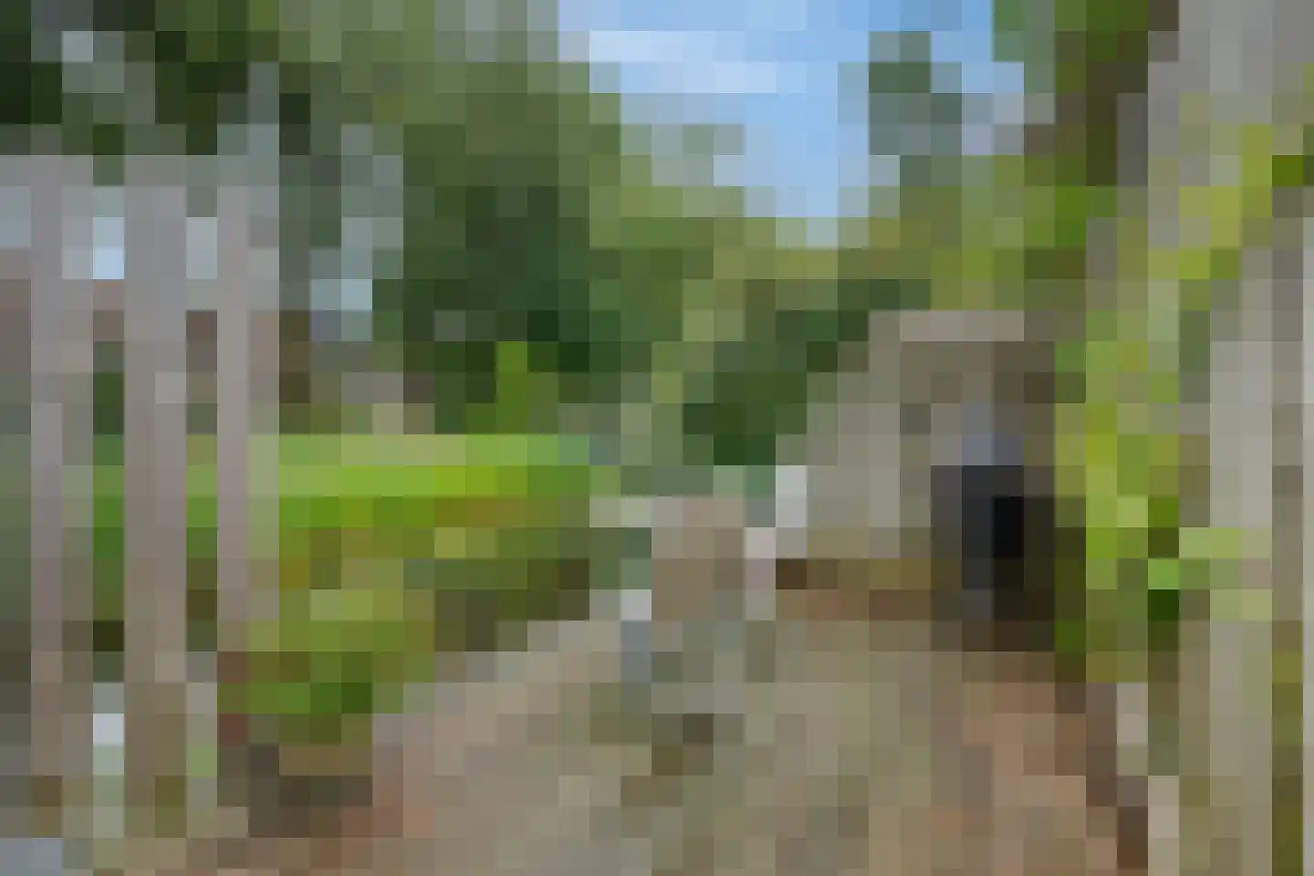 Het Wedde 51 Voorschoten thumbnail 5