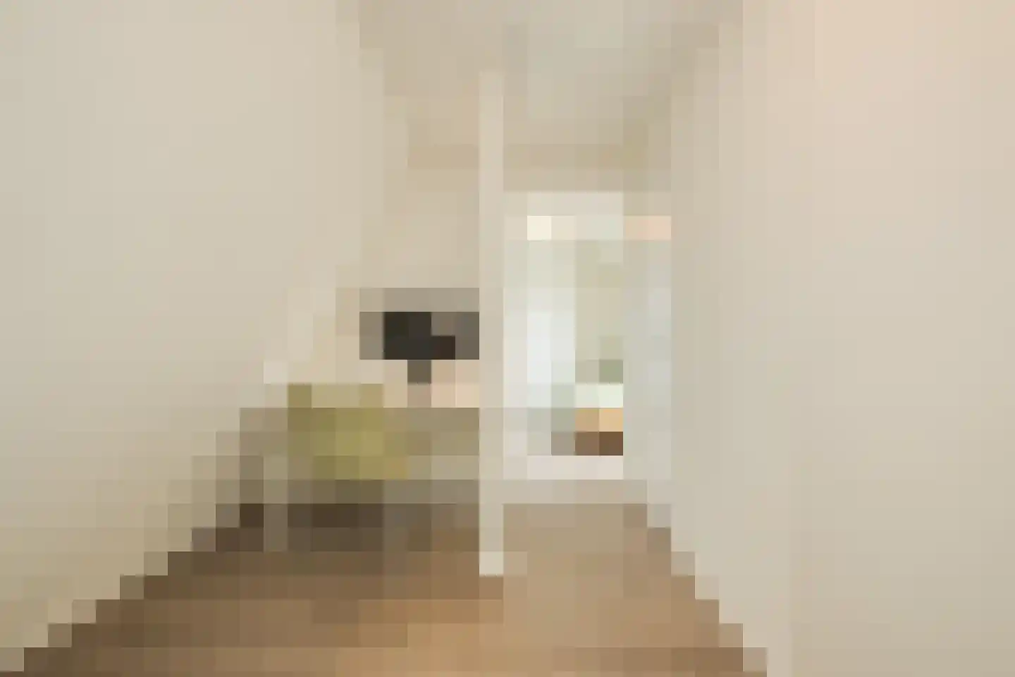 Het Wedde 51 Voorschoten thumbnail 51