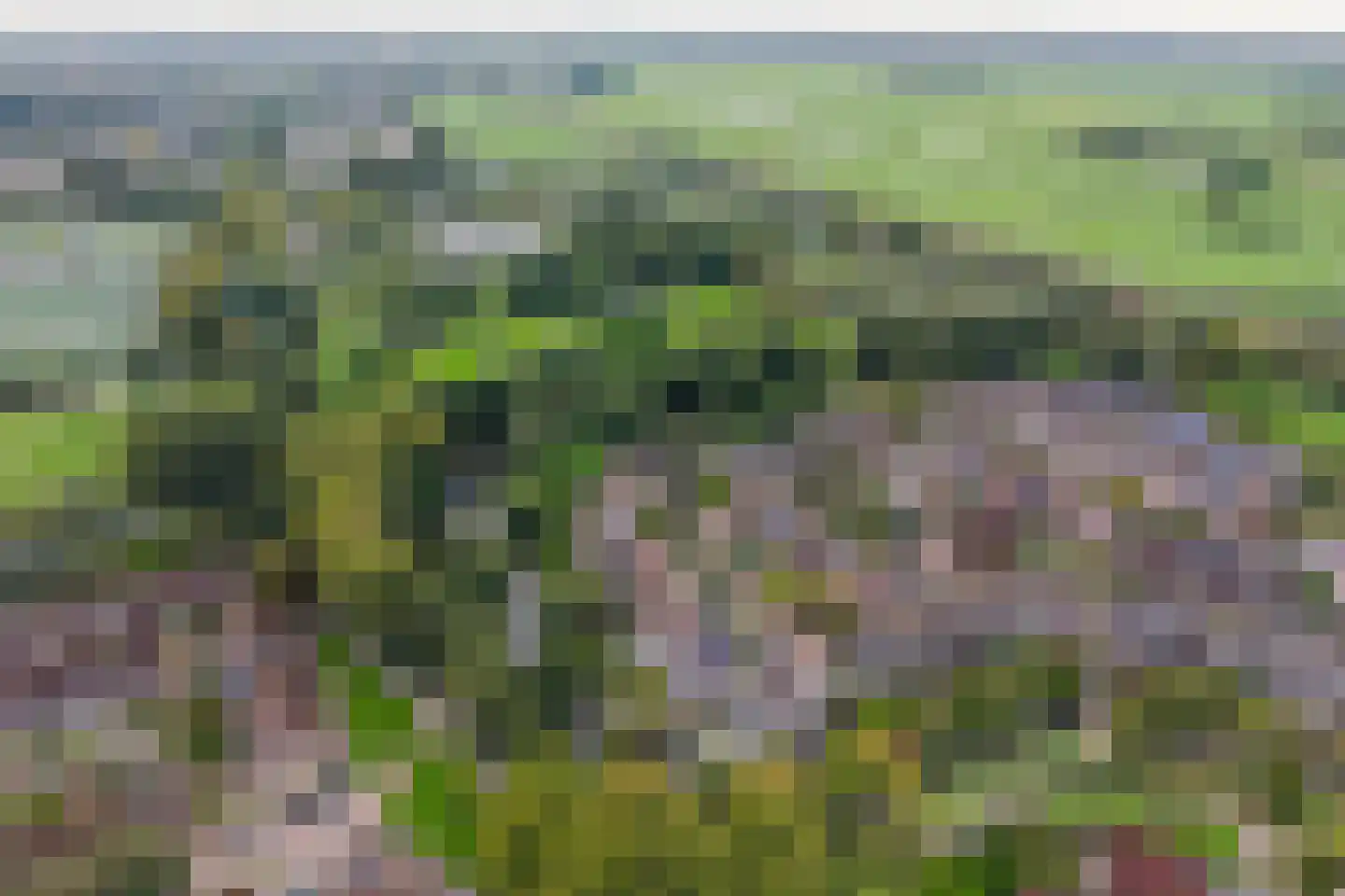 Het Wedde 51 Voorschoten thumbnail 56