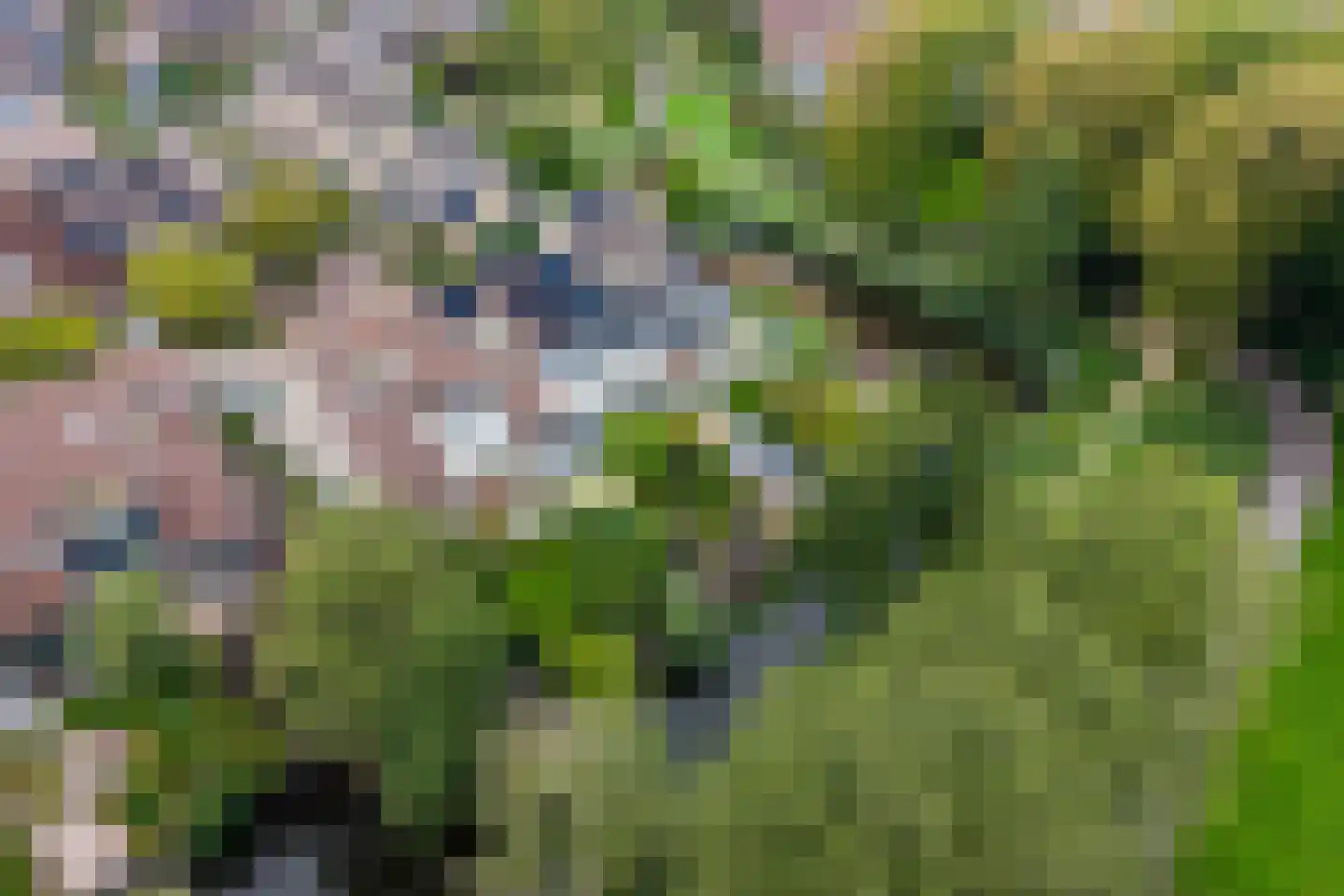 Het Wedde 51 Voorschoten thumbnail 57