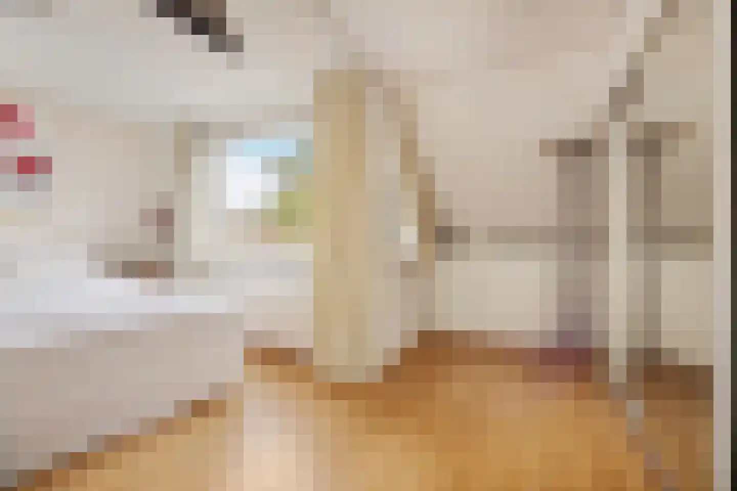 Het Wedde 81 Voorschoten thumbnail 17