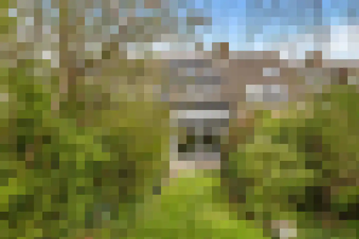 Het Wedde 81 Voorschoten foto 2