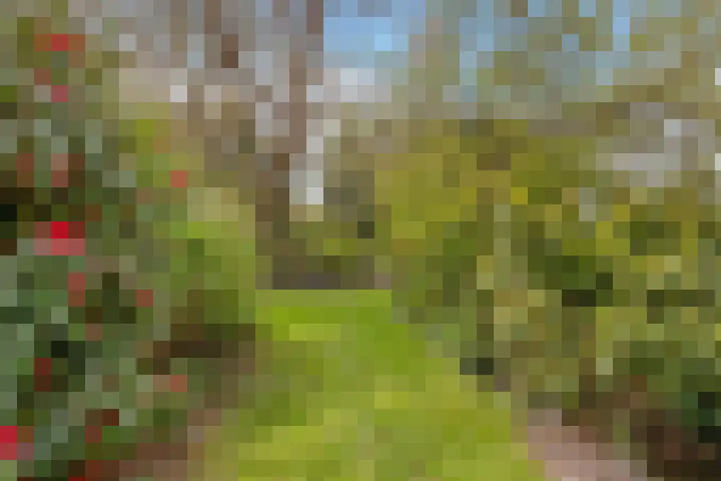 Het Wedde 81 Voorschoten thumbnail 37