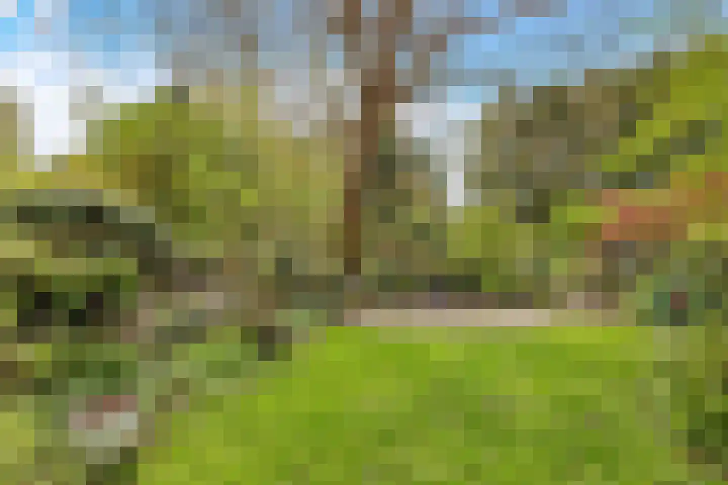 Het Wedde 81 Voorschoten thumbnail 38