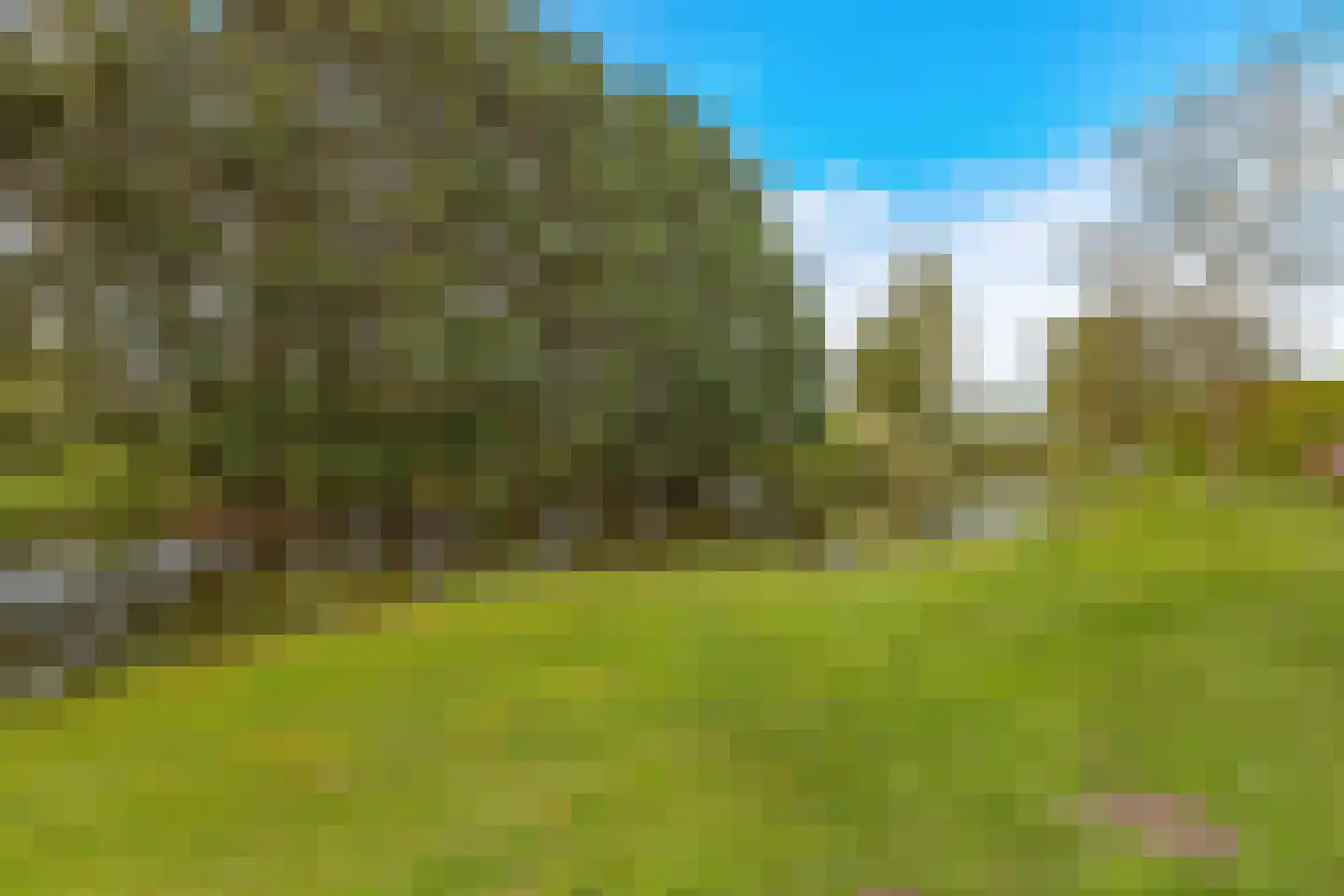Het Wedde 81 Voorschoten thumbnail 40