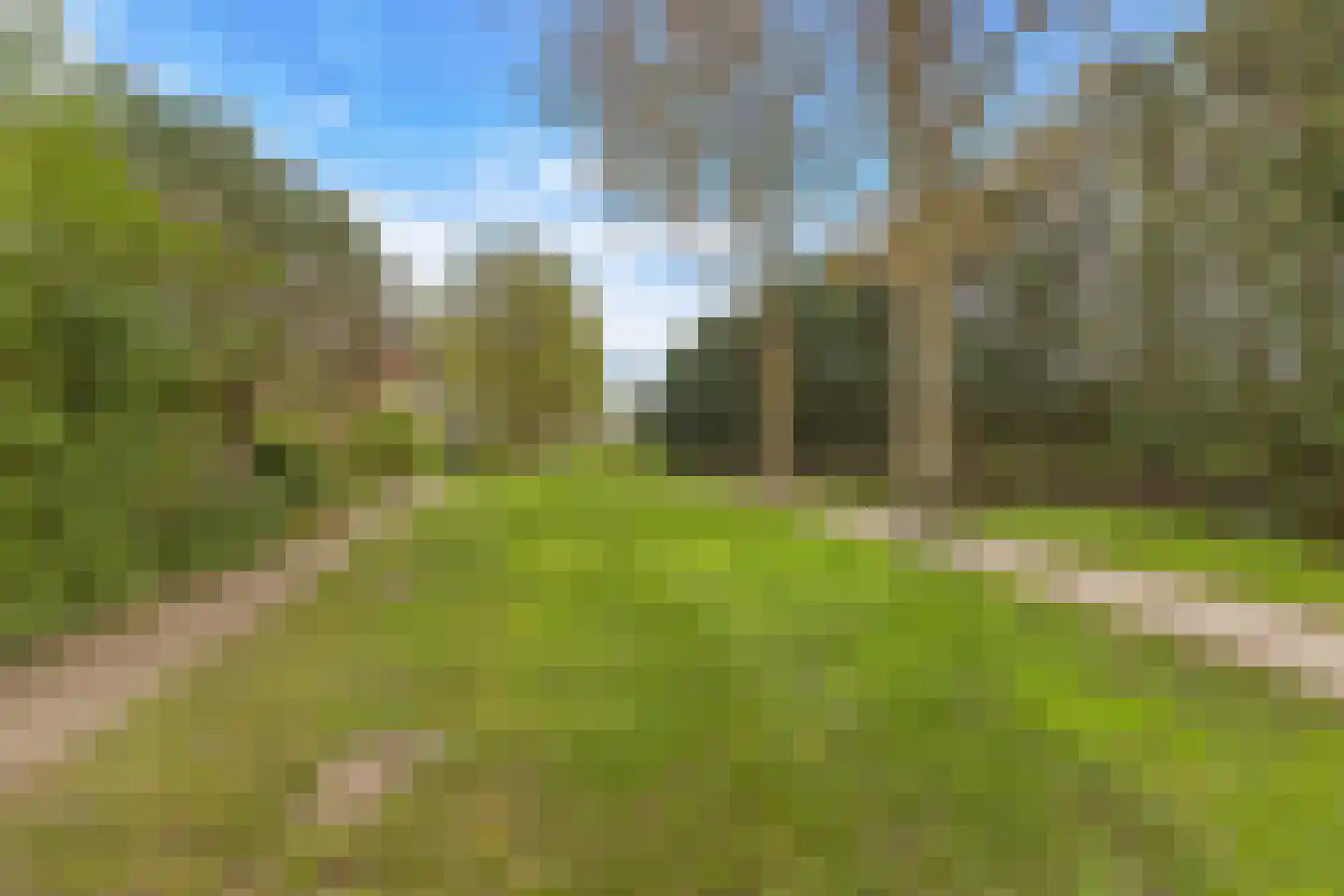 Het Wedde 81 Voorschoten thumbnail 41